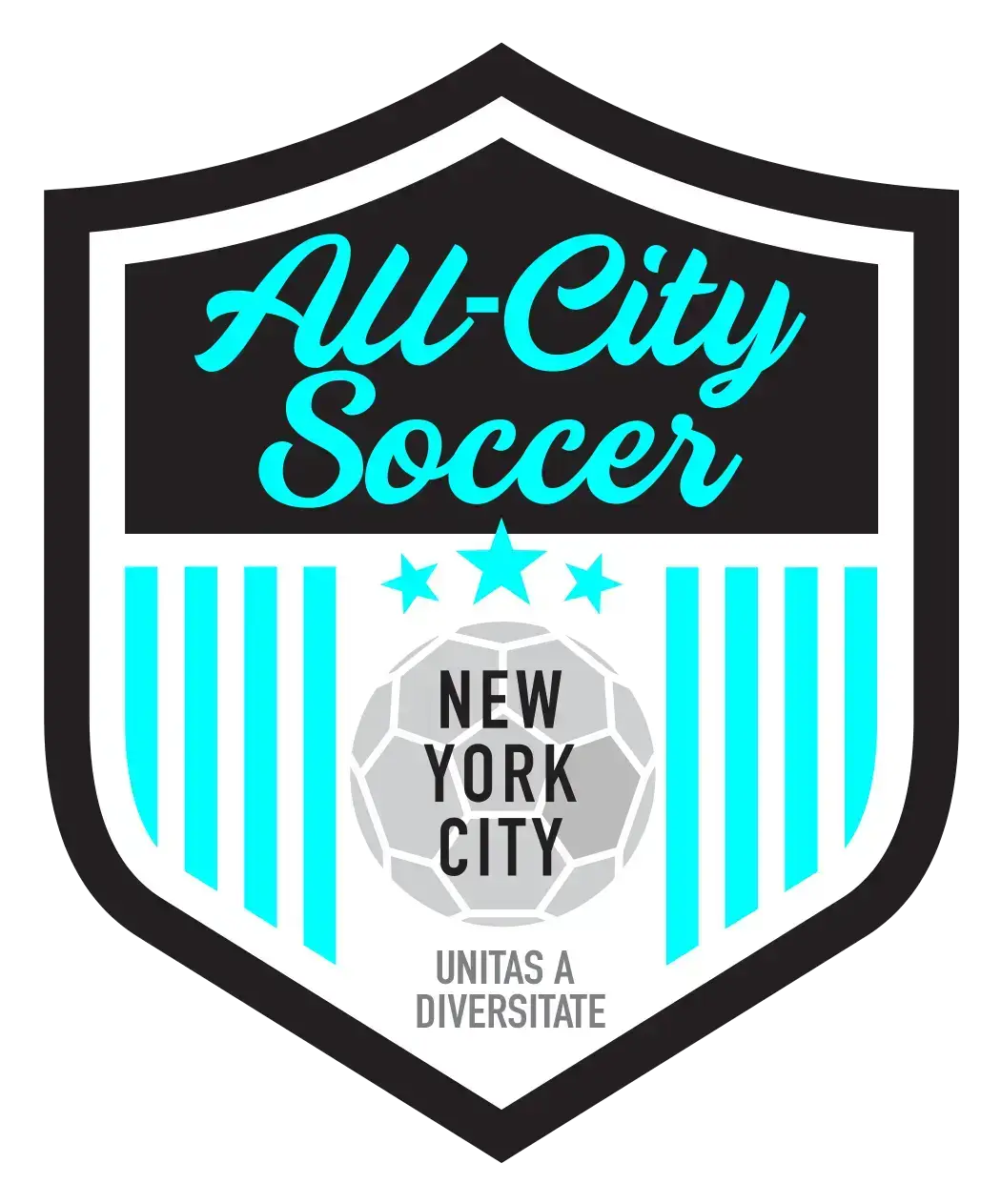 All City Soccer NYC soccer club emblem